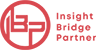 인사이트 브릿지 Logo